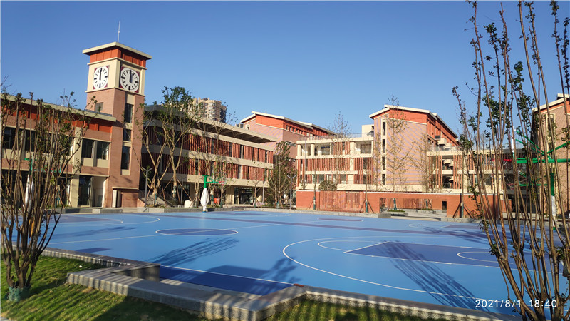 小学项目.jpg